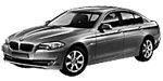 BMW F10 P181B Fault Code